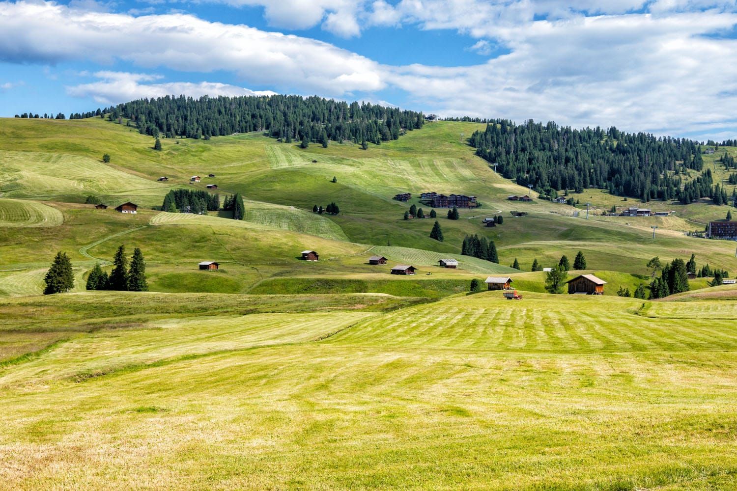 Things to Do in Alpe di Siusi