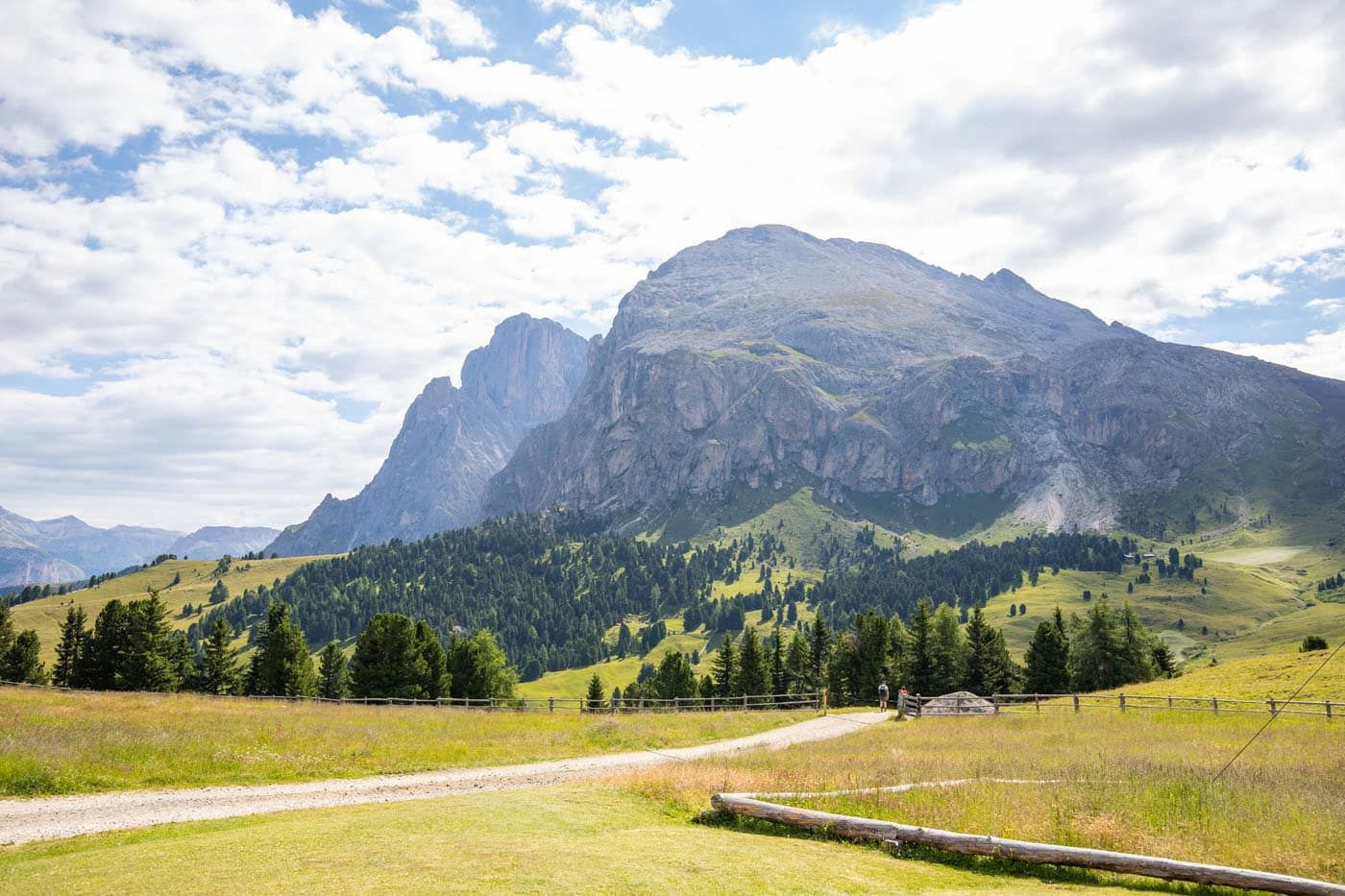 View of Sassolungo