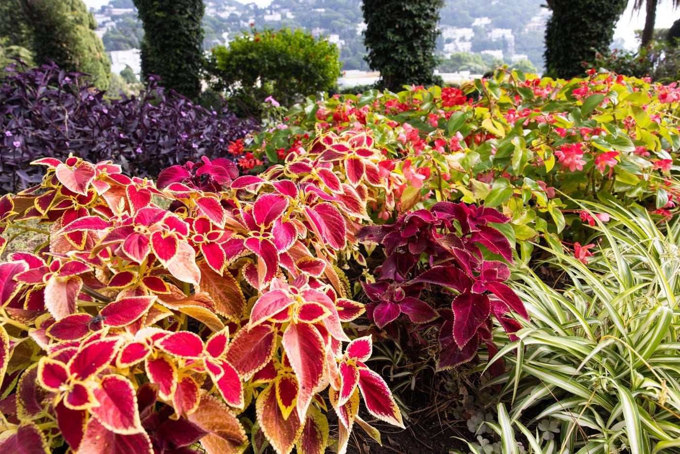 Giardini di Augusto in October