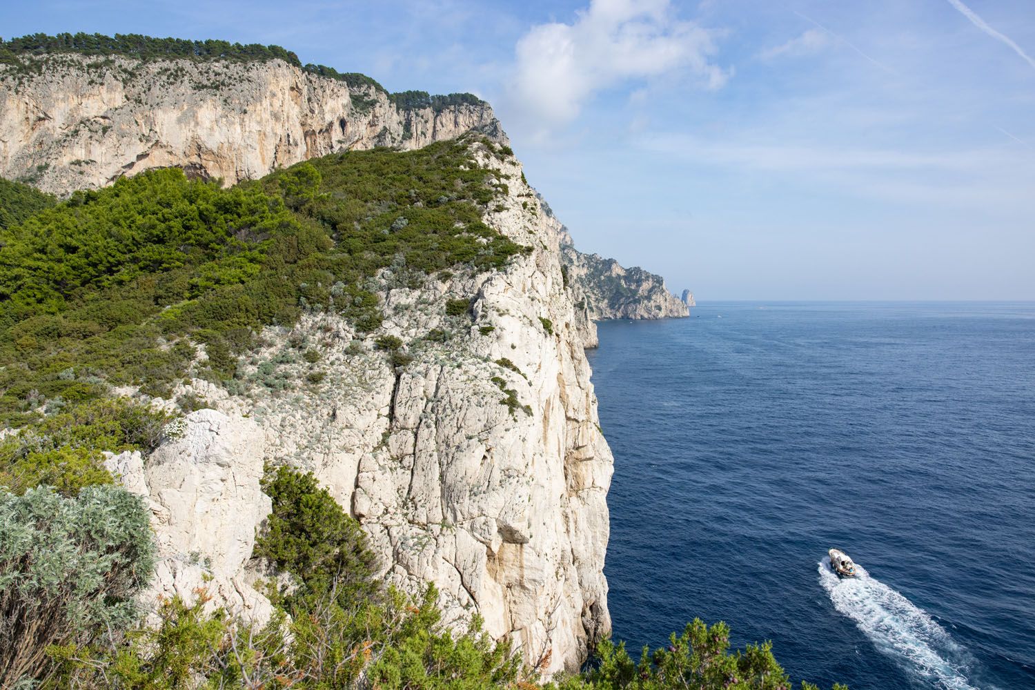 Punta Carena View