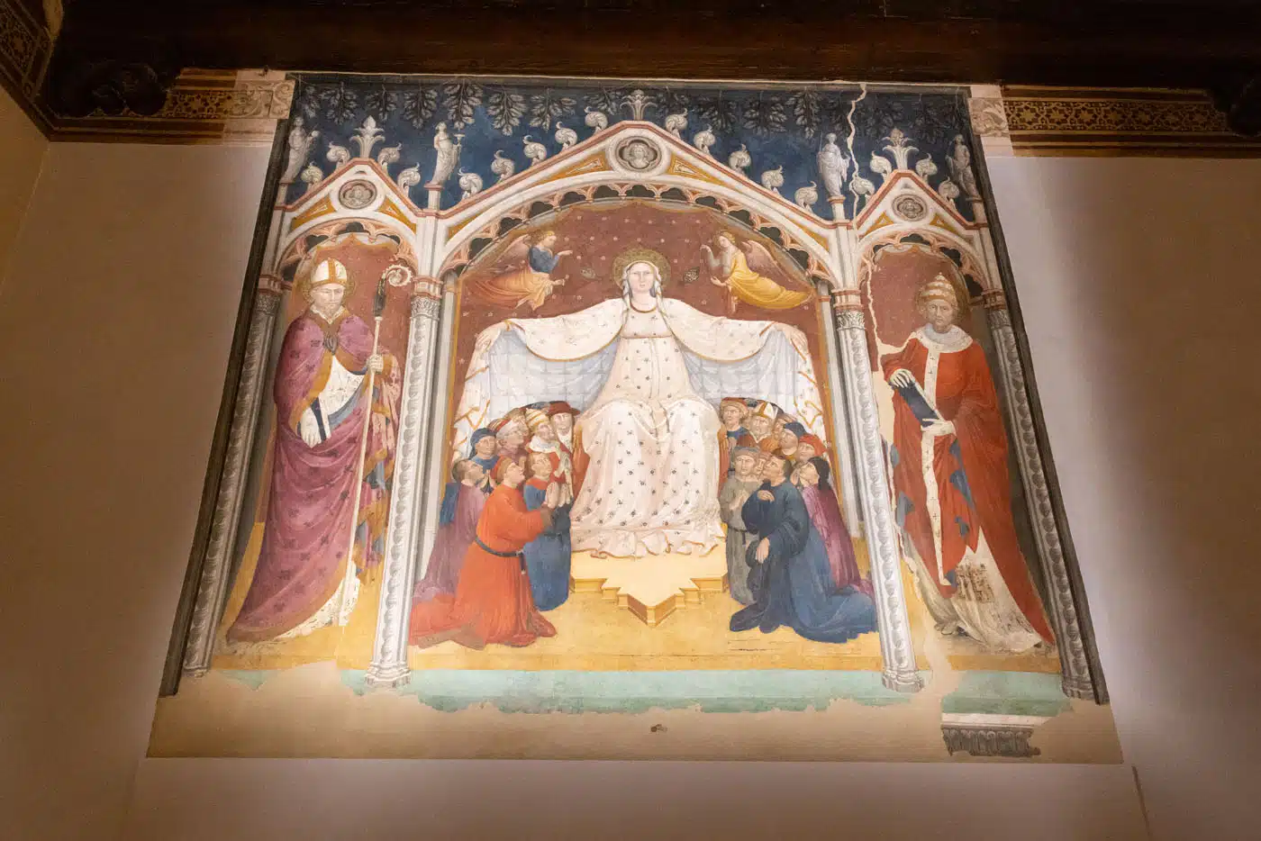 Madonna della Misericordia
