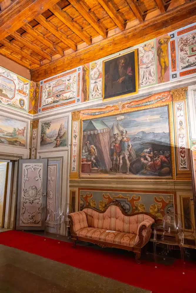 Mudas Museum Arezzo