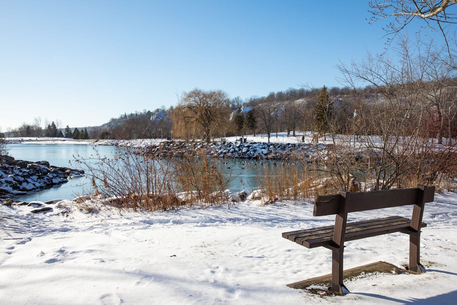 Scarborough Bluffs January