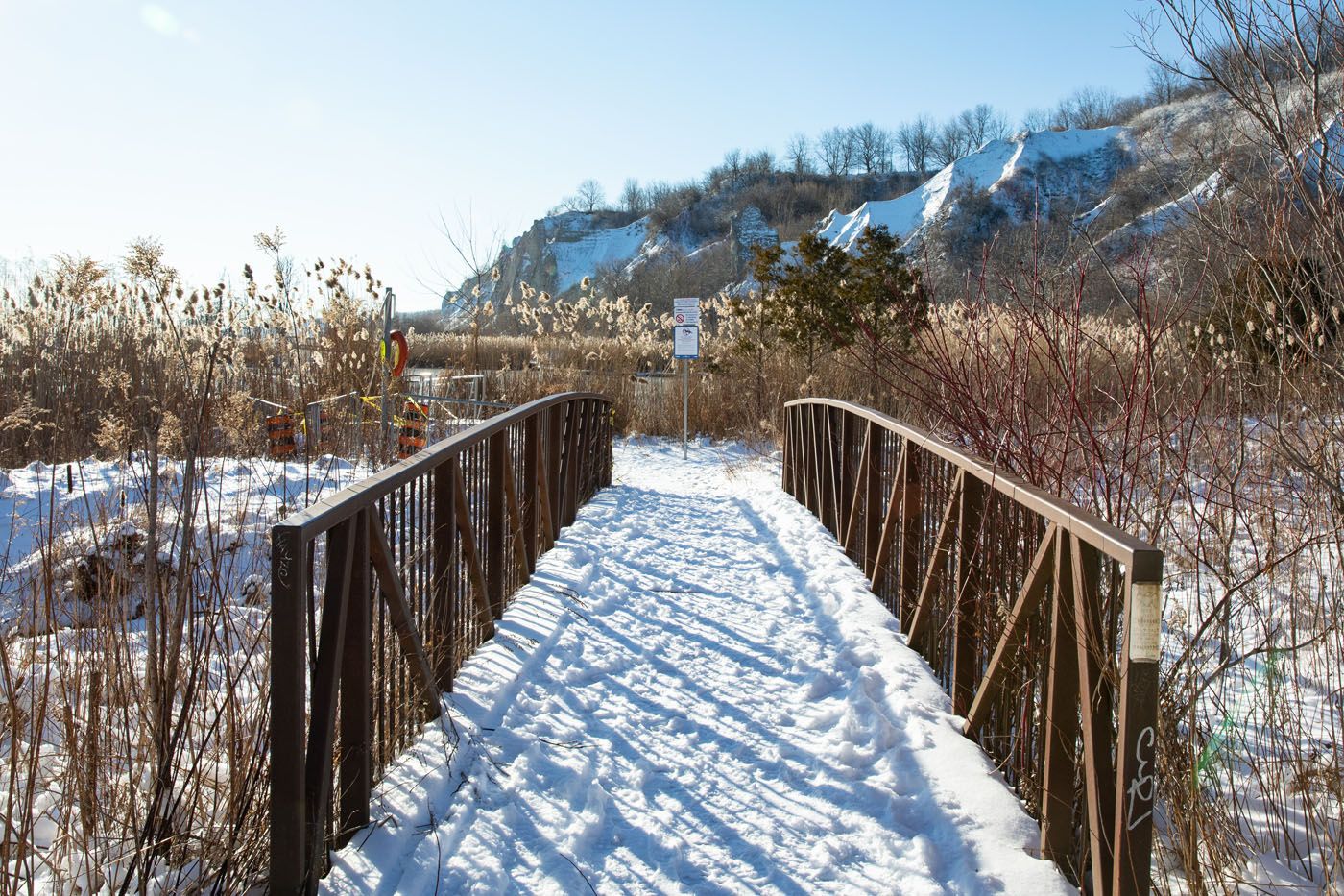 Scarborough Bluffs