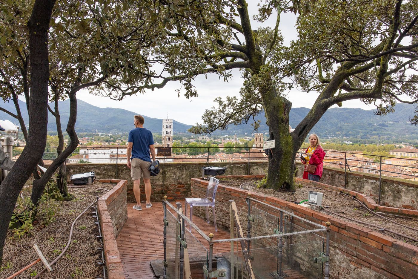 Top of Torre Guinigi