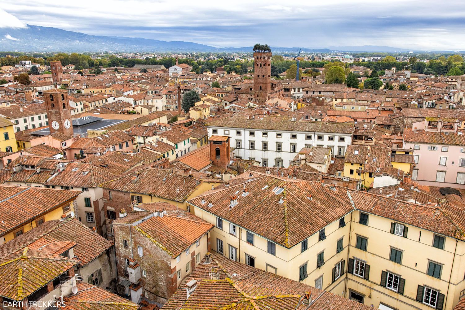View of Torre Guinigi Lucca