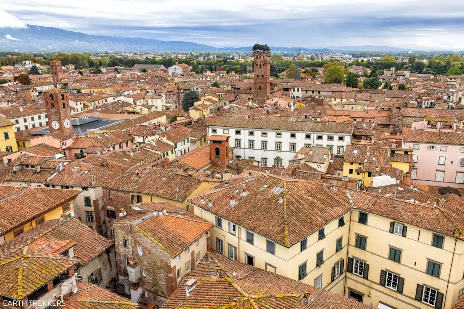 View of Torre Guinigi Lucca | Pisa and Lucca day trip from Florence