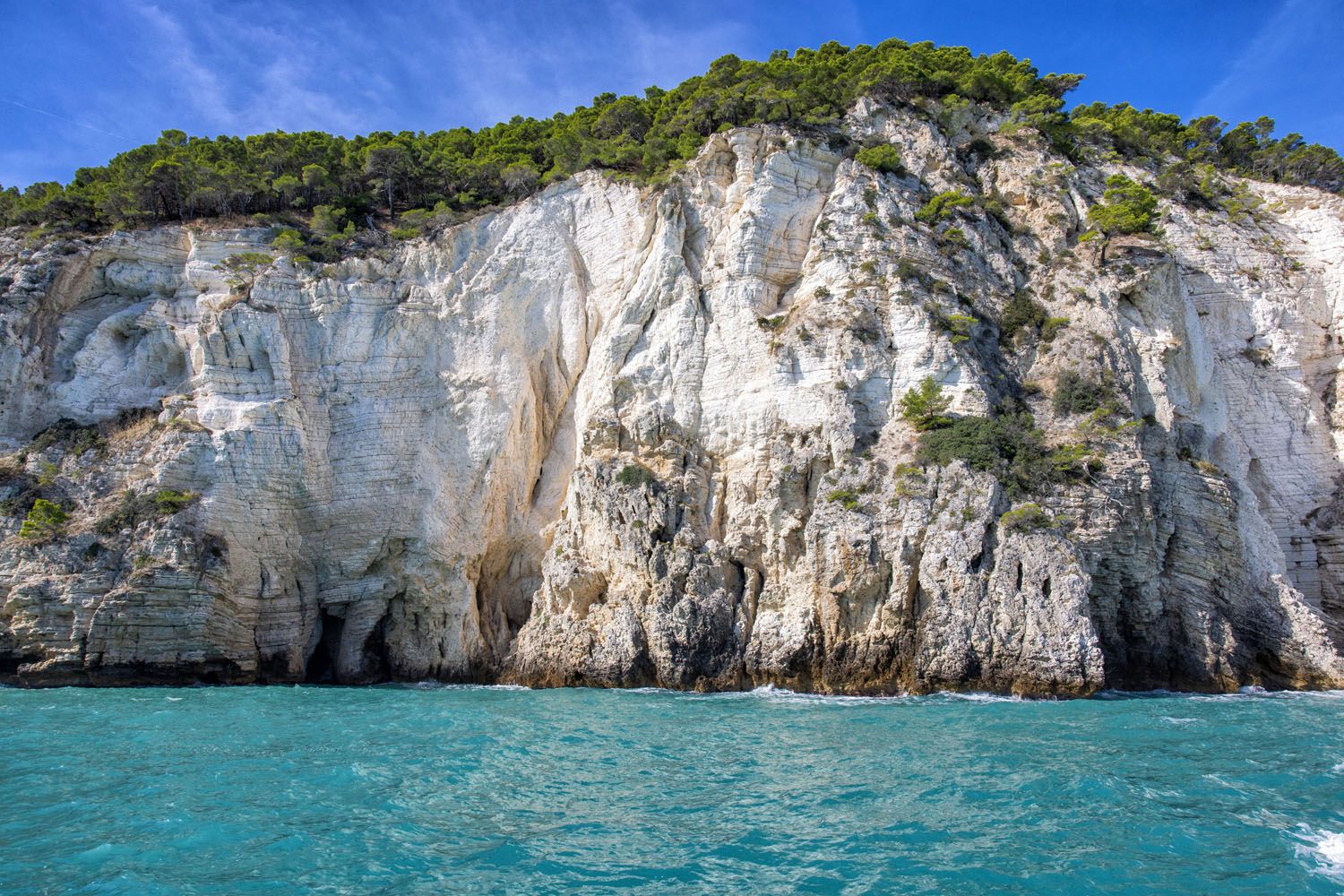 Gargano Sea Cliff