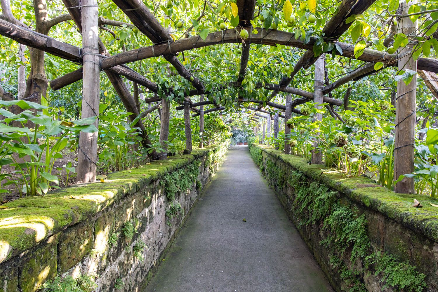 I Giardini di Cataldo