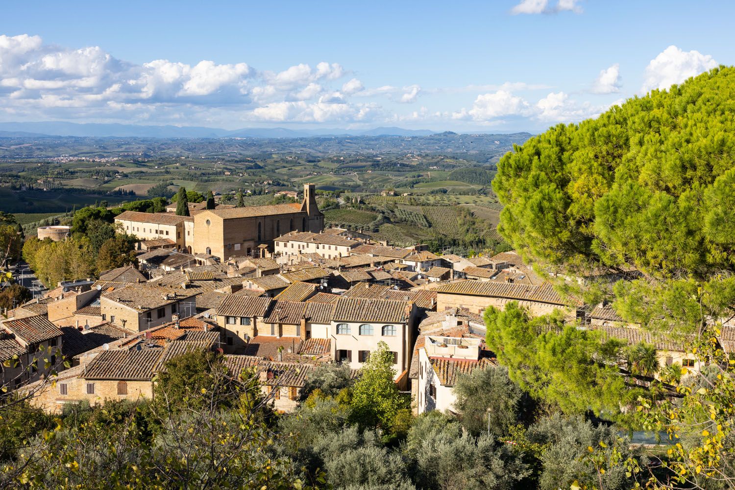 Rocca di Montestaffoli View