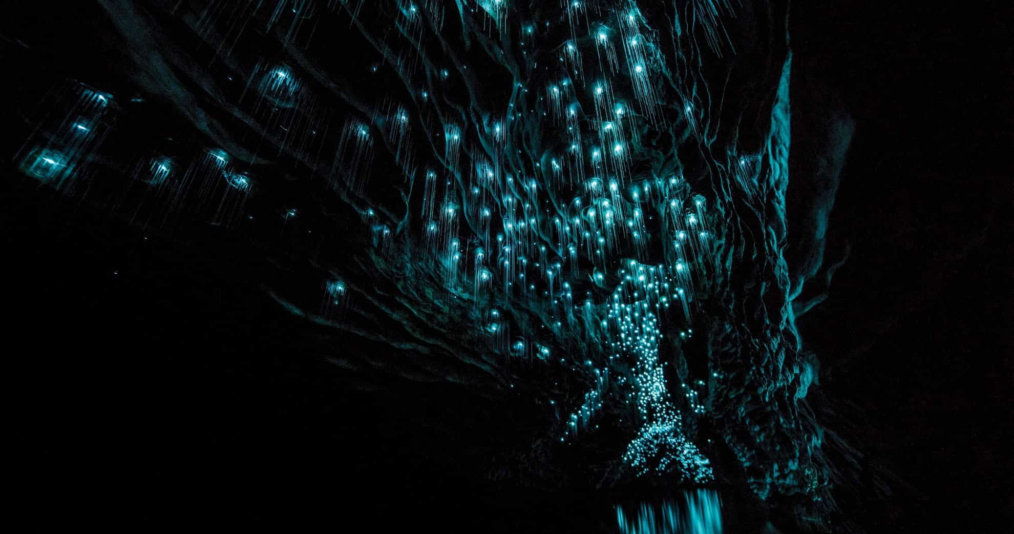 Featured image for “Waitomo Caves: Glowworms, Blackwater Rafting & the Best Tours”