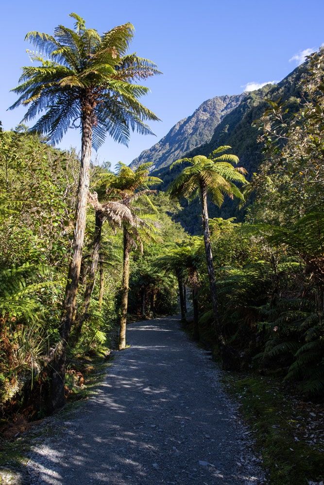 Franz Josef Glacier Trail