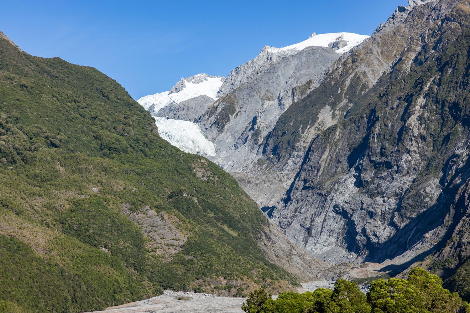 Franz Josef Glacier View