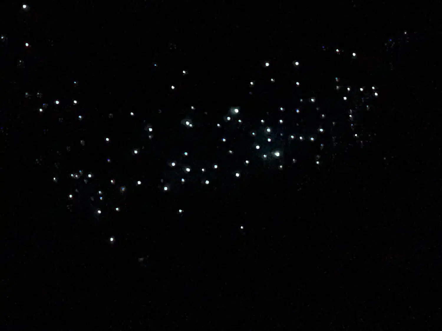 Glowworms