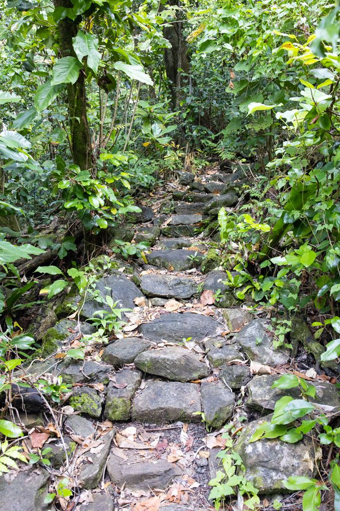 Lower Sauma Ridge Trail