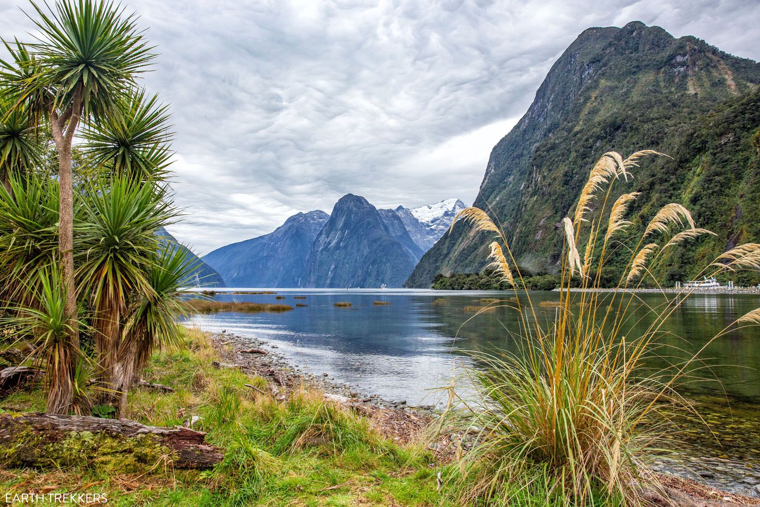 Milford Sound | Best Things to Do on the South Island