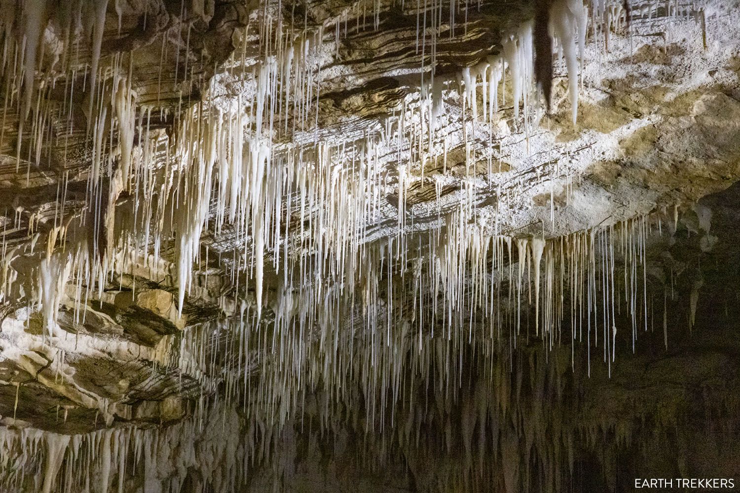 Ruakuri Cave New Zealand