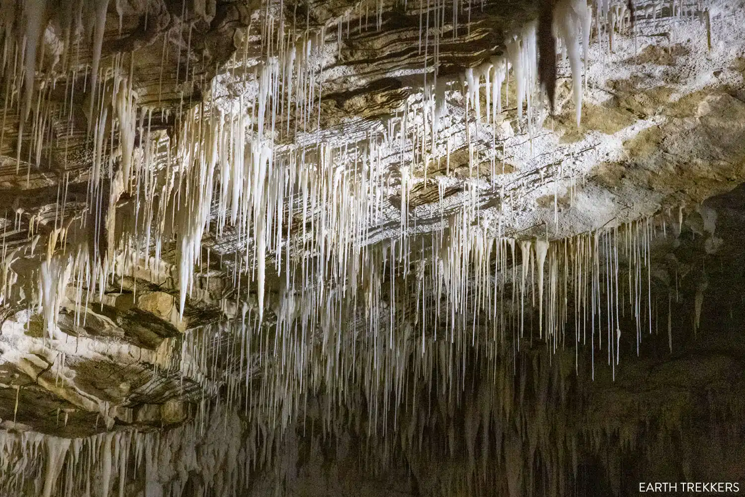 Ruakuri Cave New Zealand