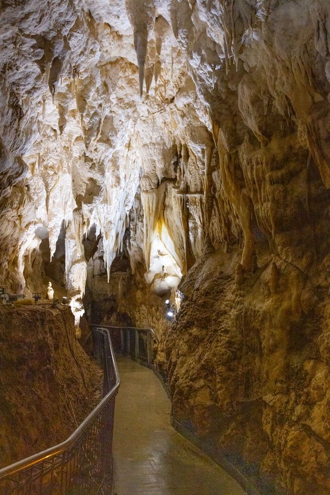 Ruakuri Cave Tour