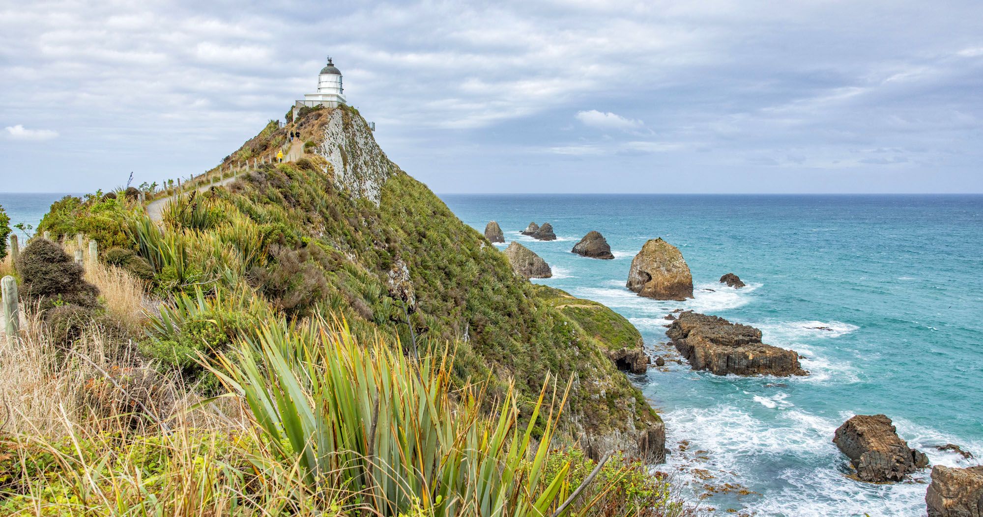 Featured image for “The Southern Scenic Route of New Zealand: Things to Do, Map, Itinerary”