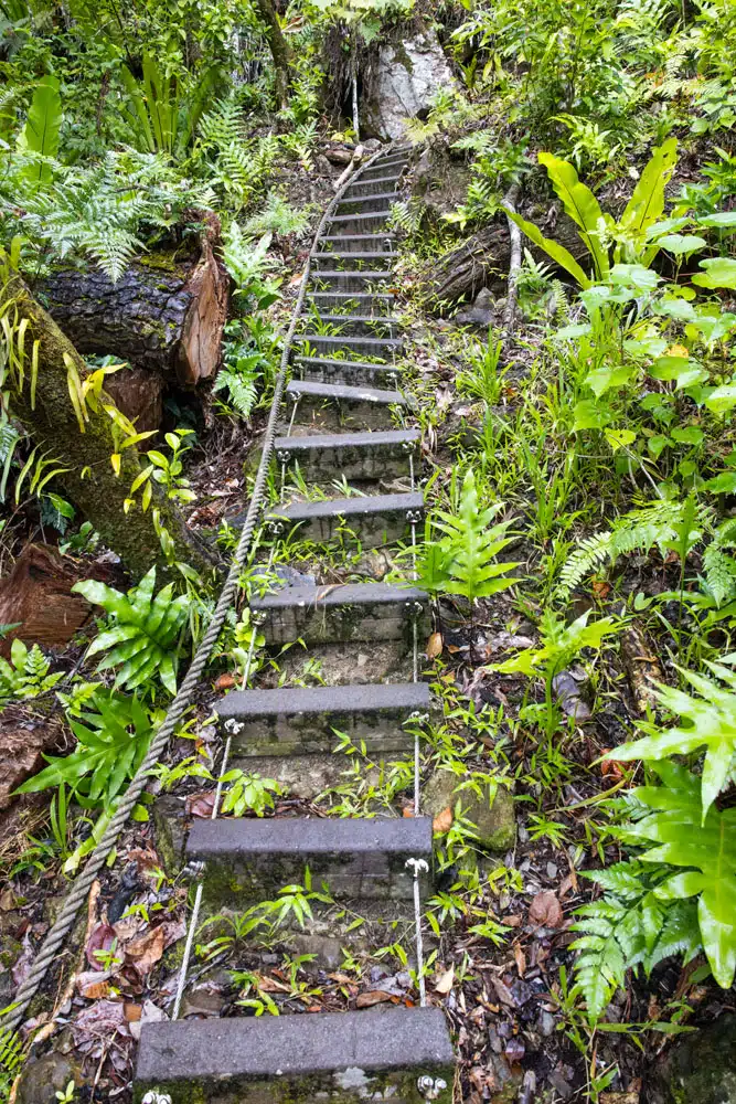 Tuafanua Trail Photo