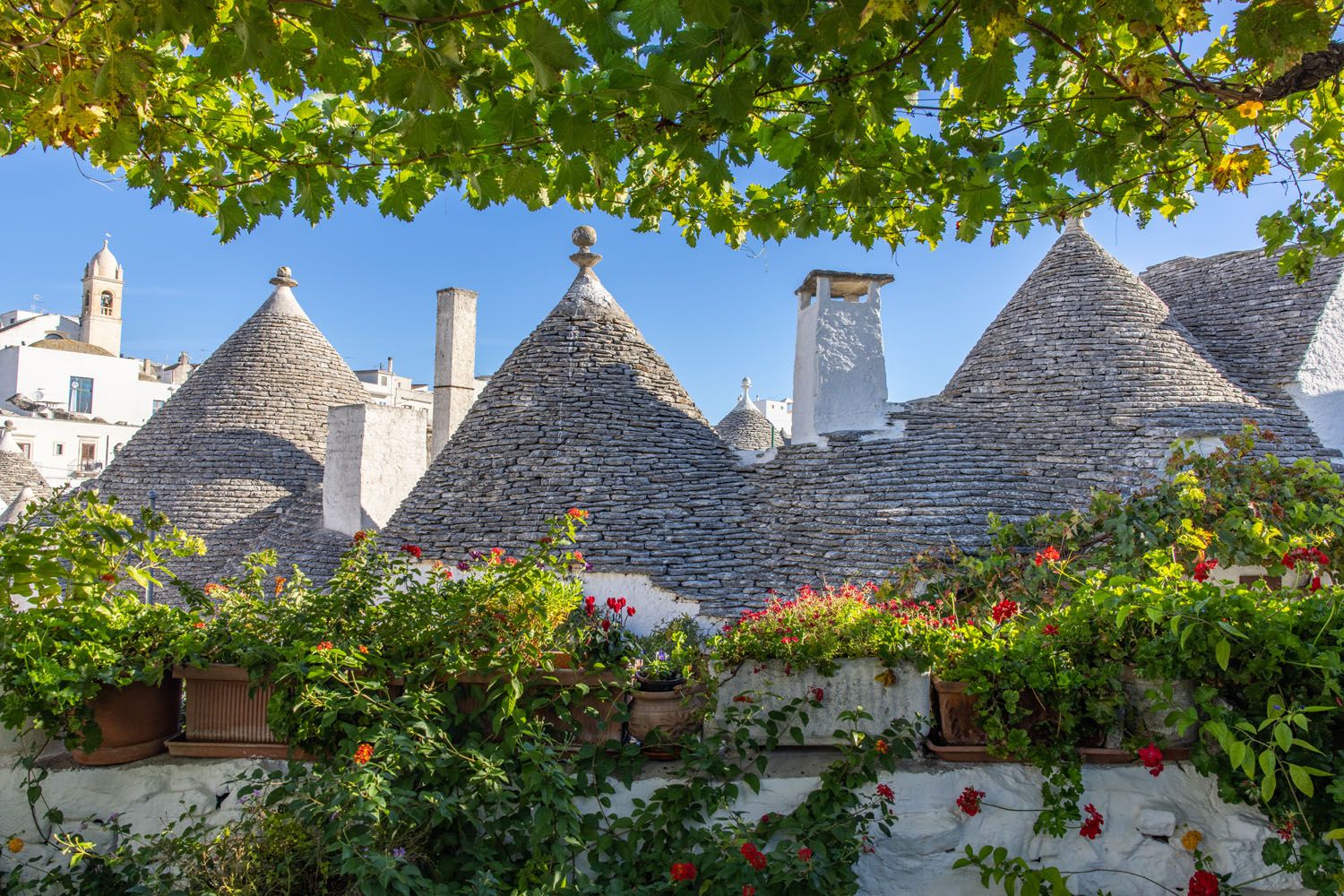 Alberobello Rooftop View