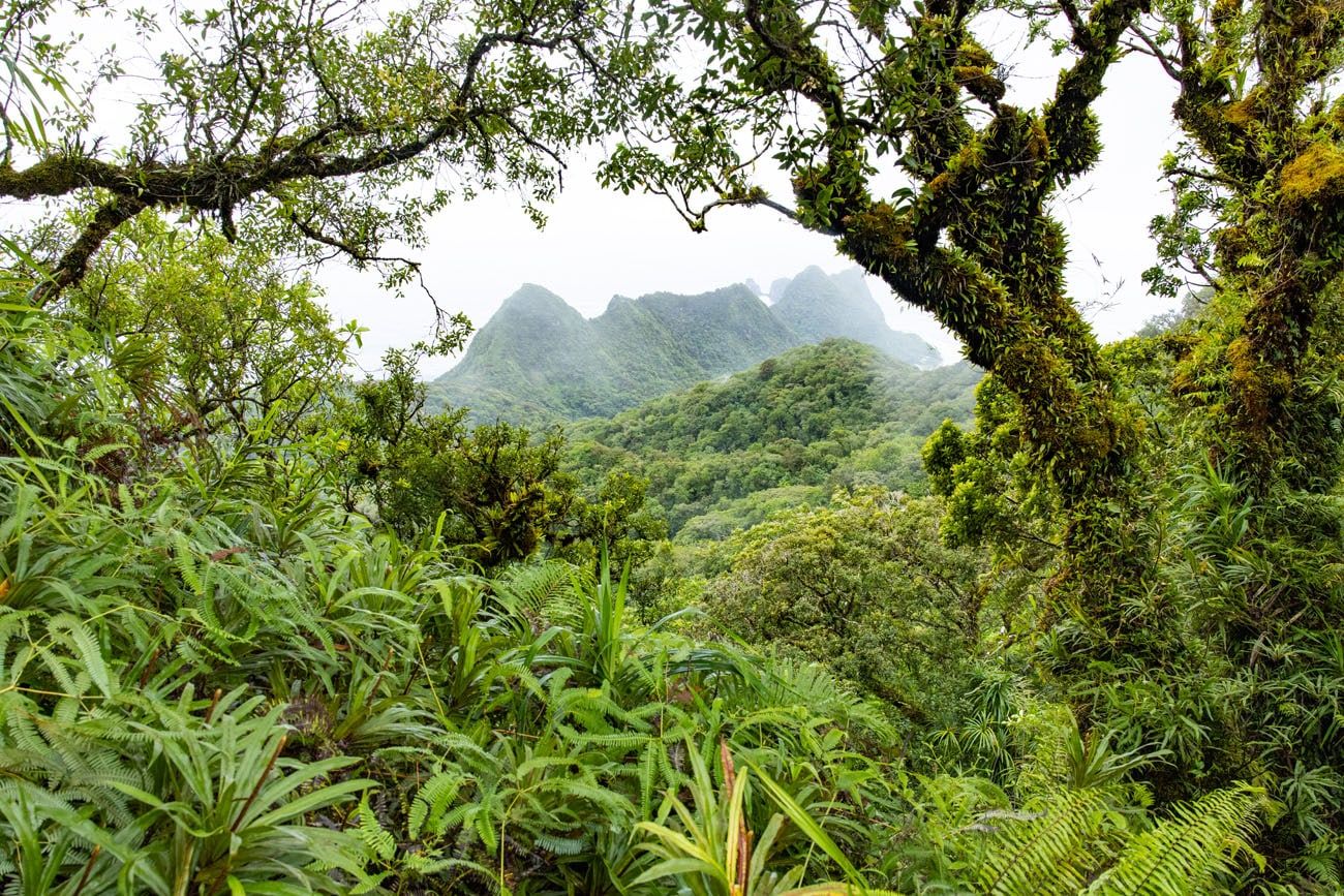 American Samoa Hike