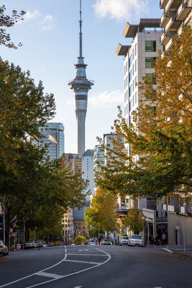 Auckland Sky Tower | Best Things to do in Auckland