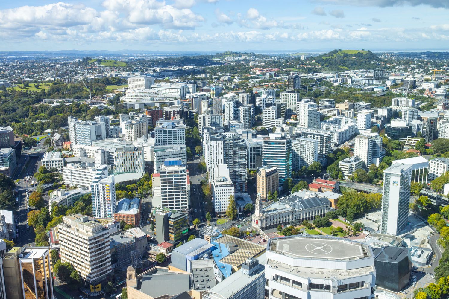 Auckland View