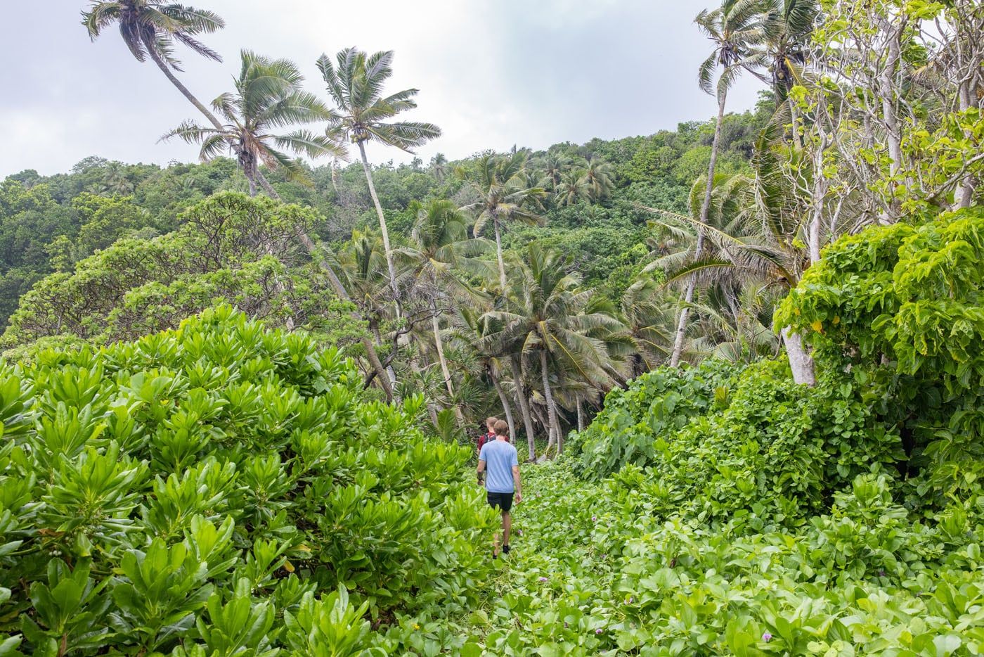 Aunuu Island Trail