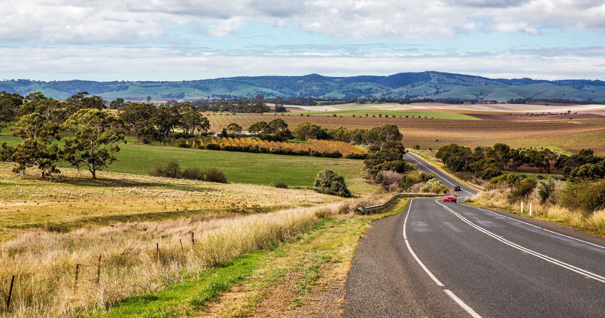 Featured image for “Wine Tasting in Barossa Valley: 13 Outstanding Wineries to Visit”