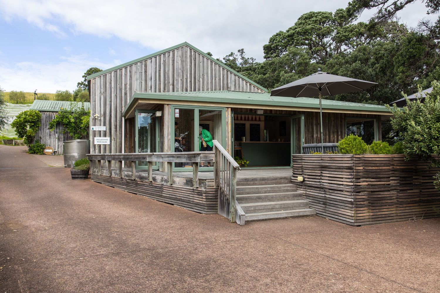 Kennedy Point Vineyard