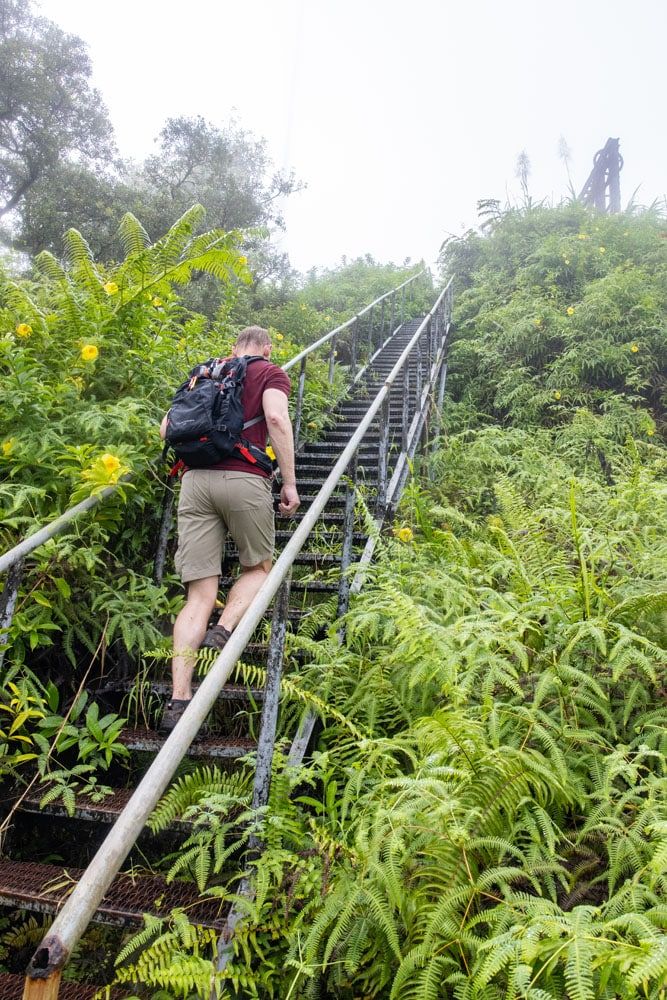 Mount Alava Summit Steps