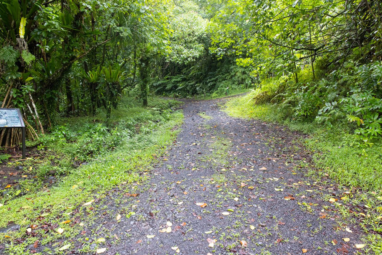 Mount Alava Trailhead