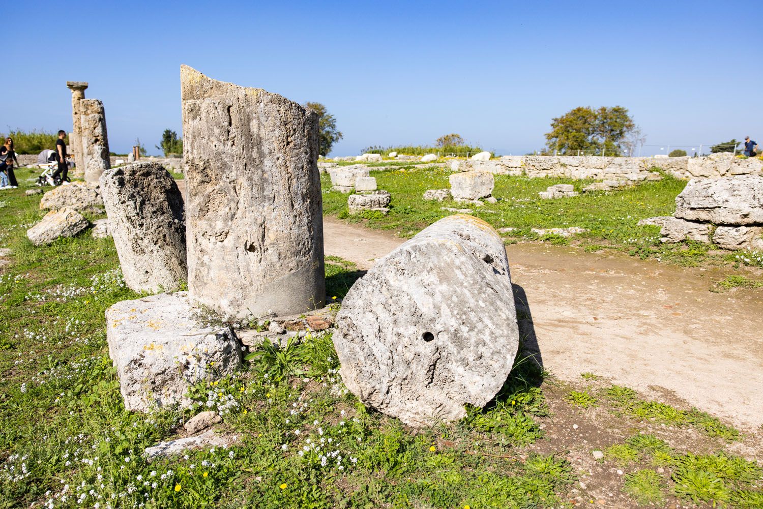 Paestum Columns