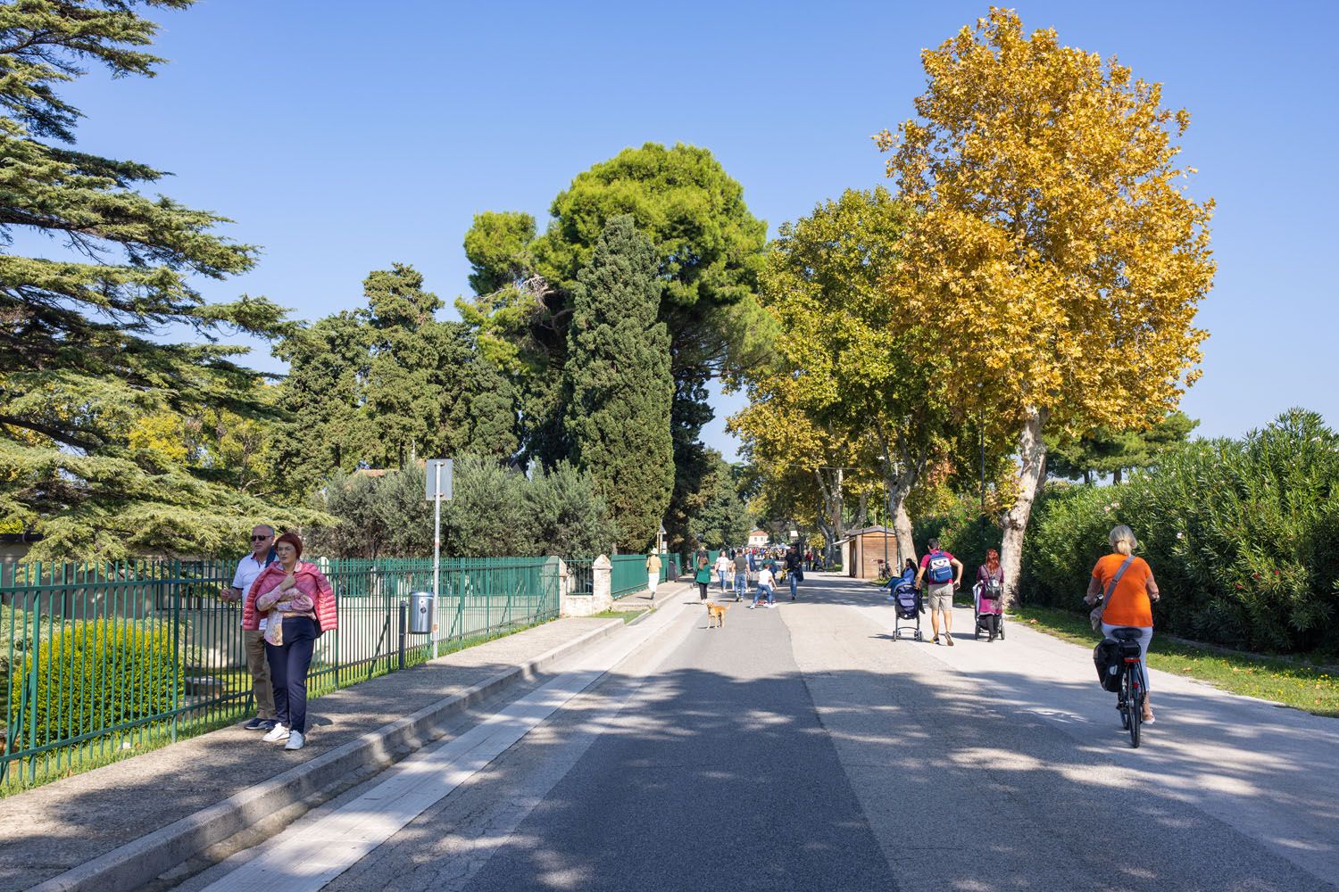 Paestum Pedestrian Road