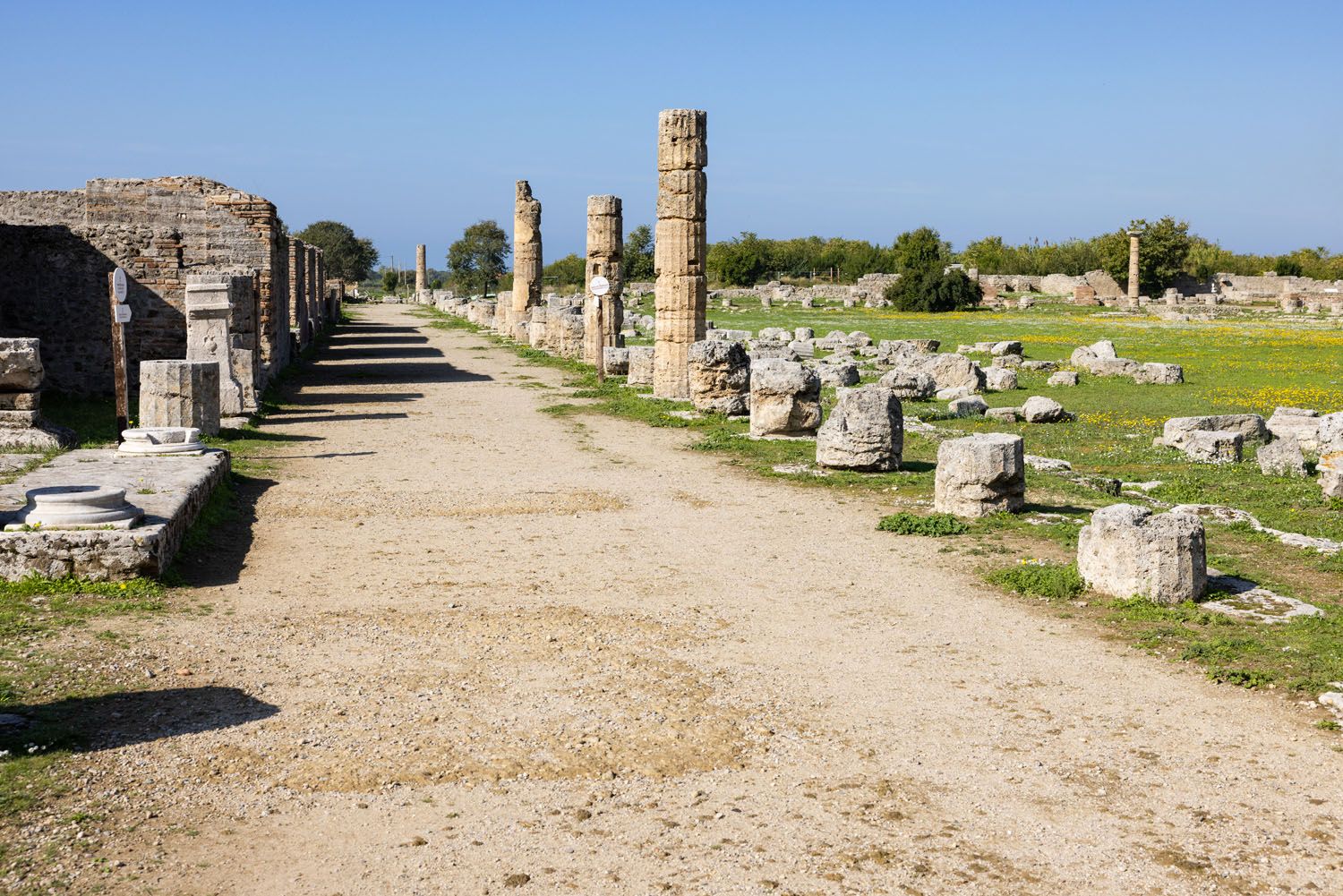 Paestum Roman Forum