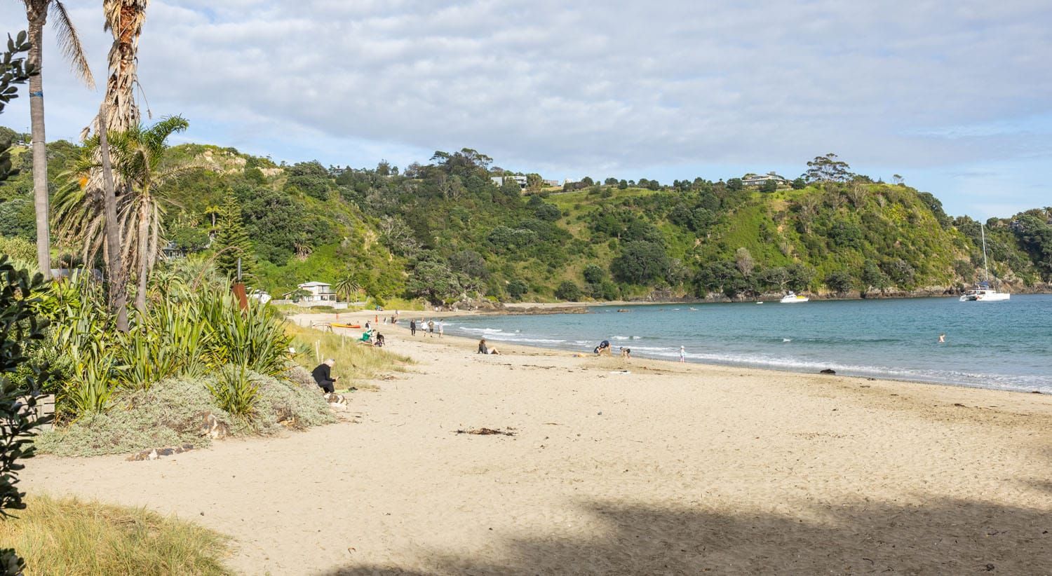 Palm Beach Waiheke Island