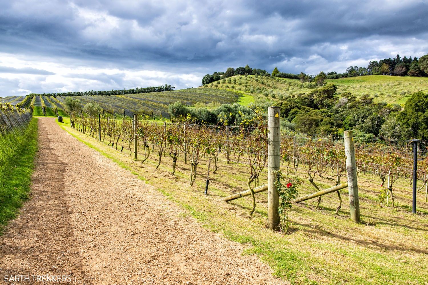 Tantalus Estate