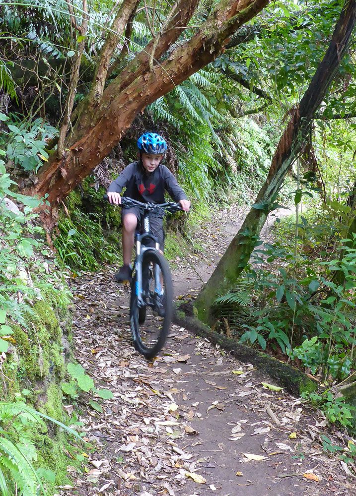 Taupo Mountain Biking