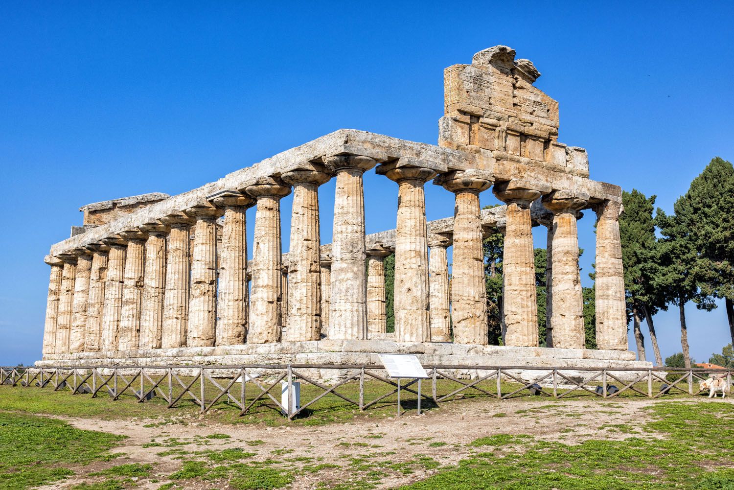 Temple of Athena Paestum