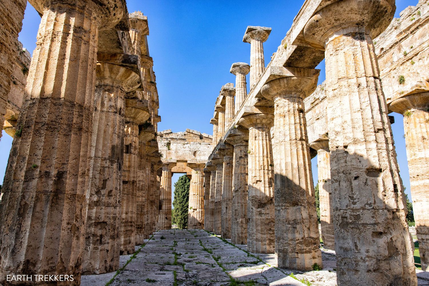 Temple of Neptune Paestum Interior