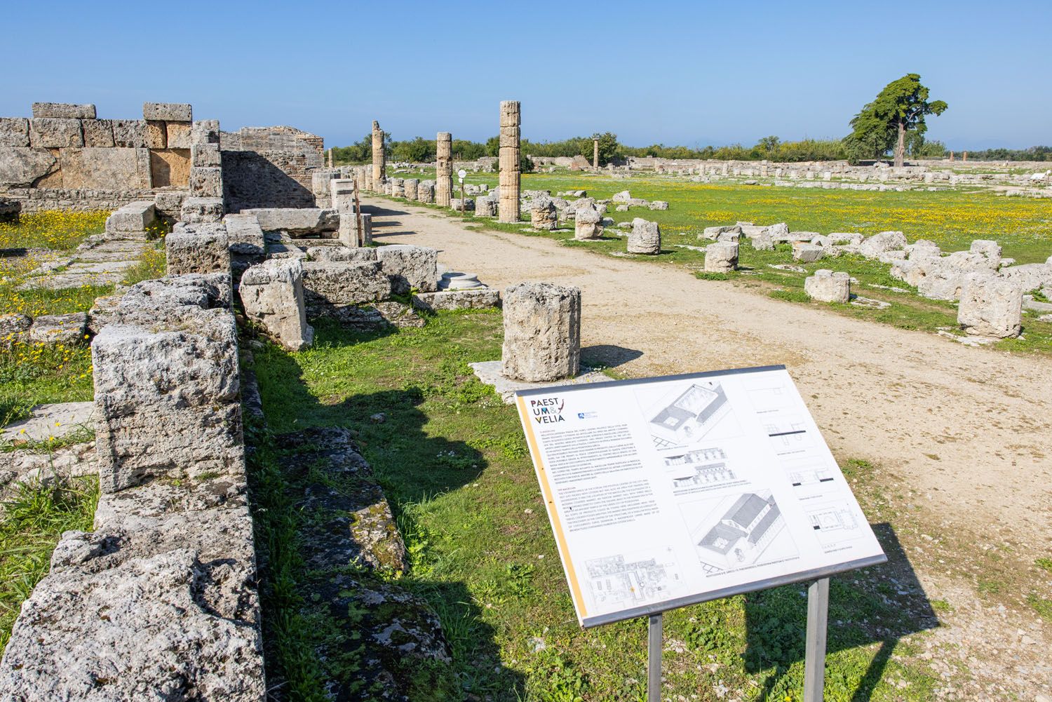 The Roman Forum Paestum