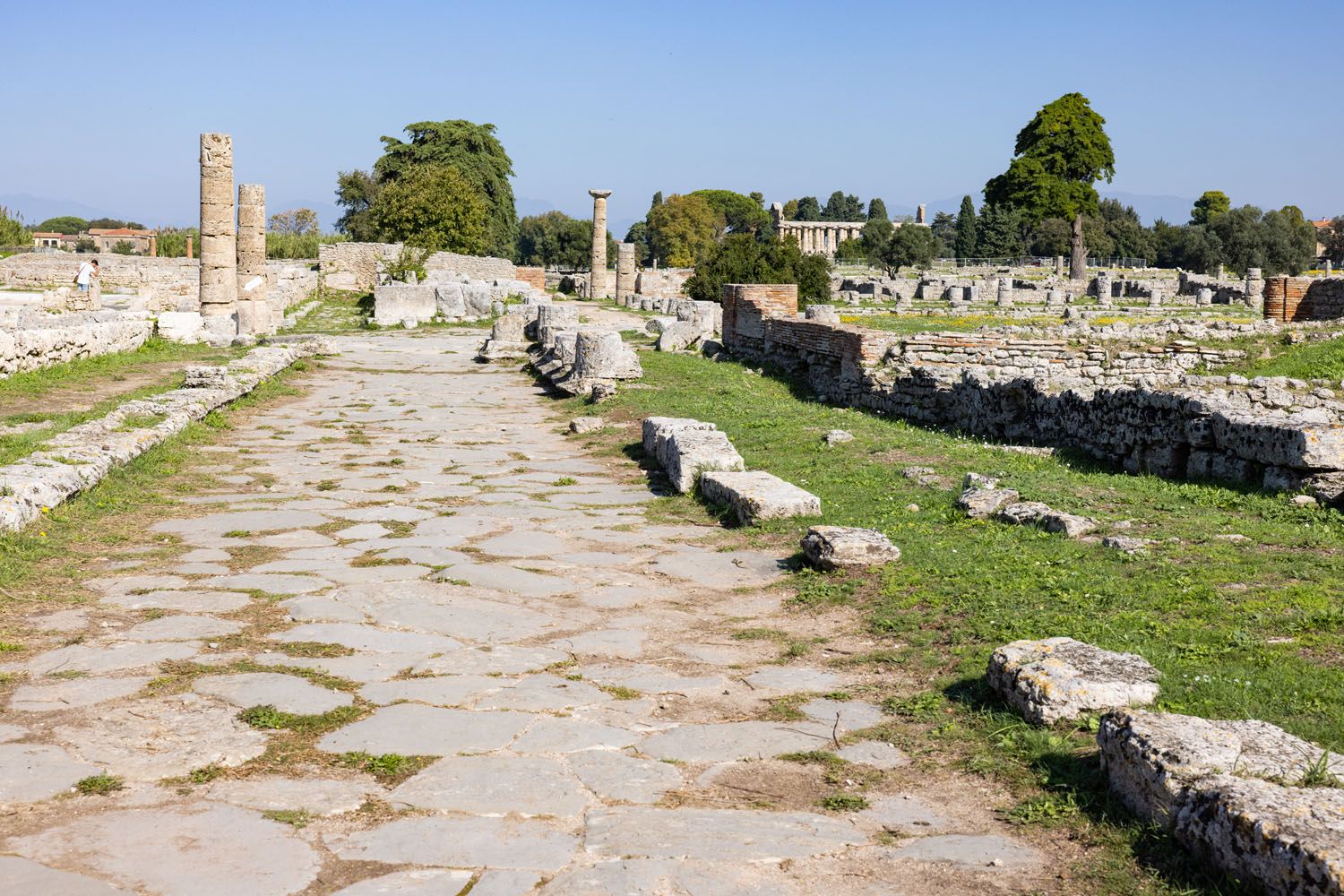 The Sacred Way Paestum