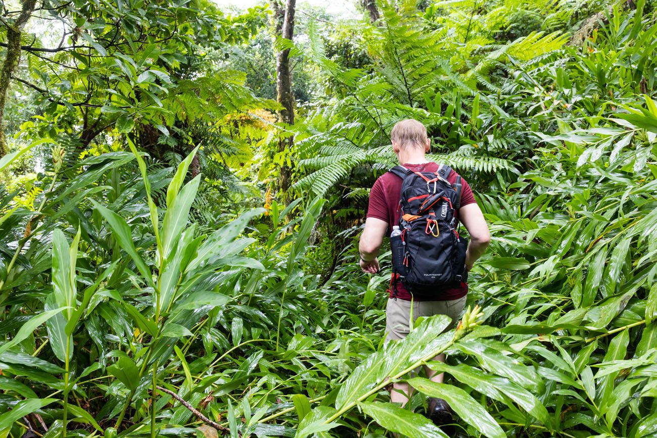 Tim on the Trail