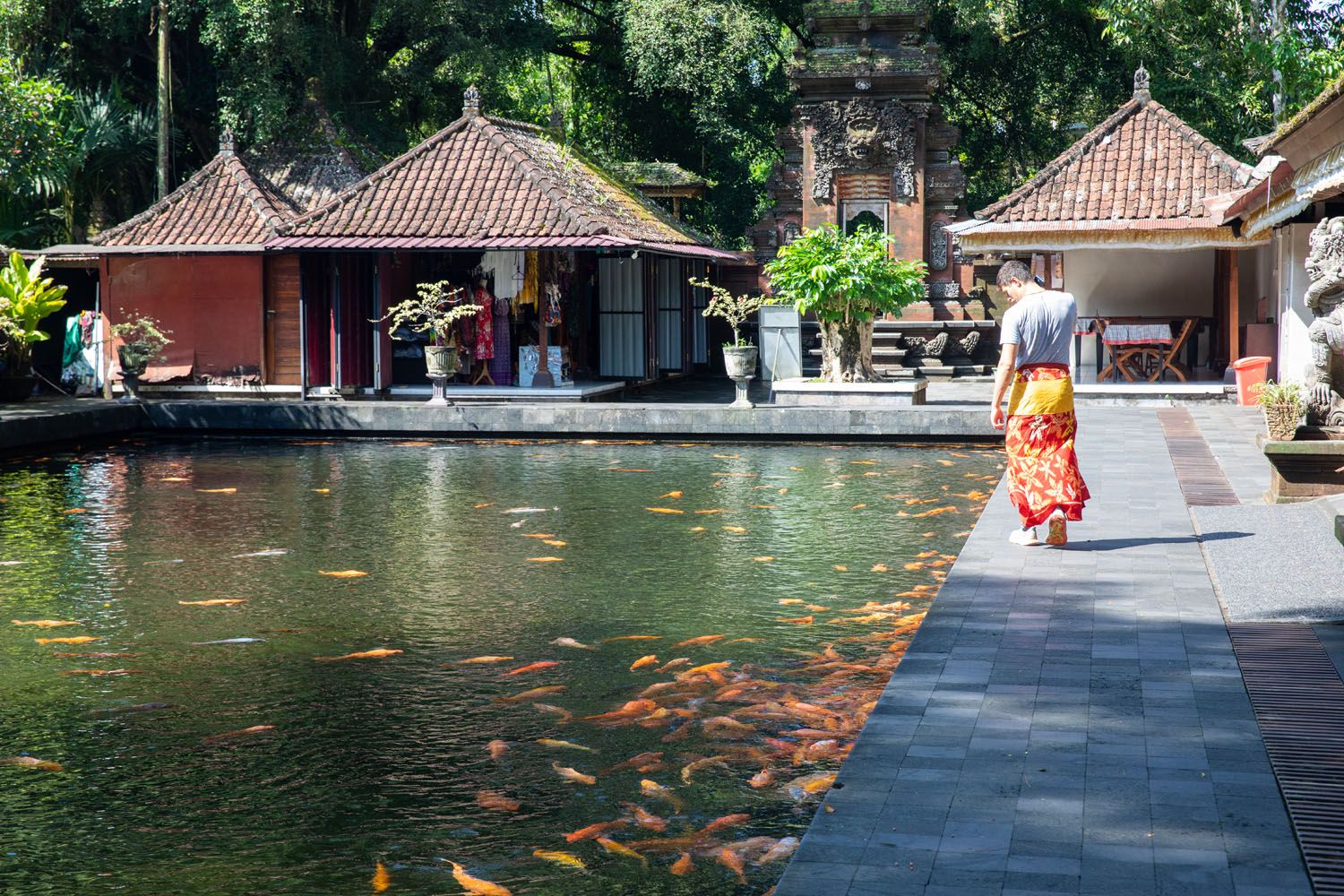 Tirta Empul Koi Pond