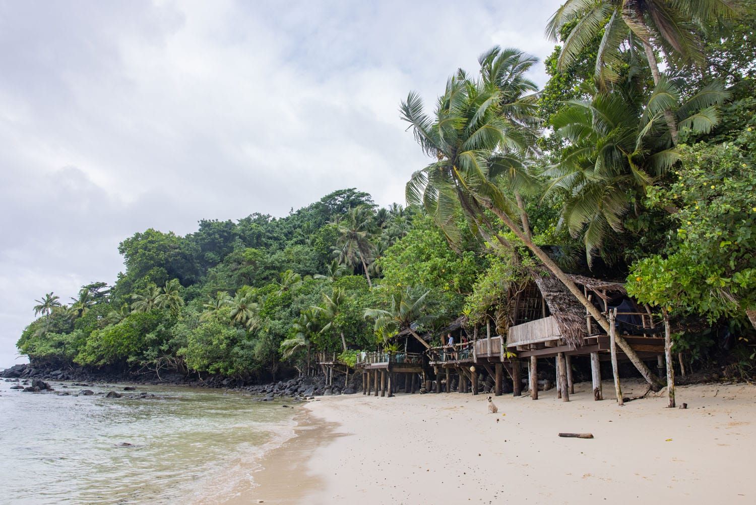 Tisas Barefoot Bar | Best Things to Do in American Samoa