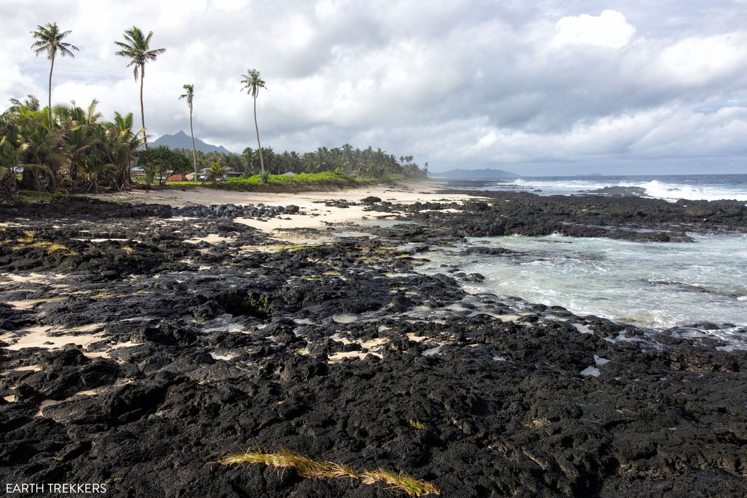 Turtle and Shark | Best Things to Do in American Samoa