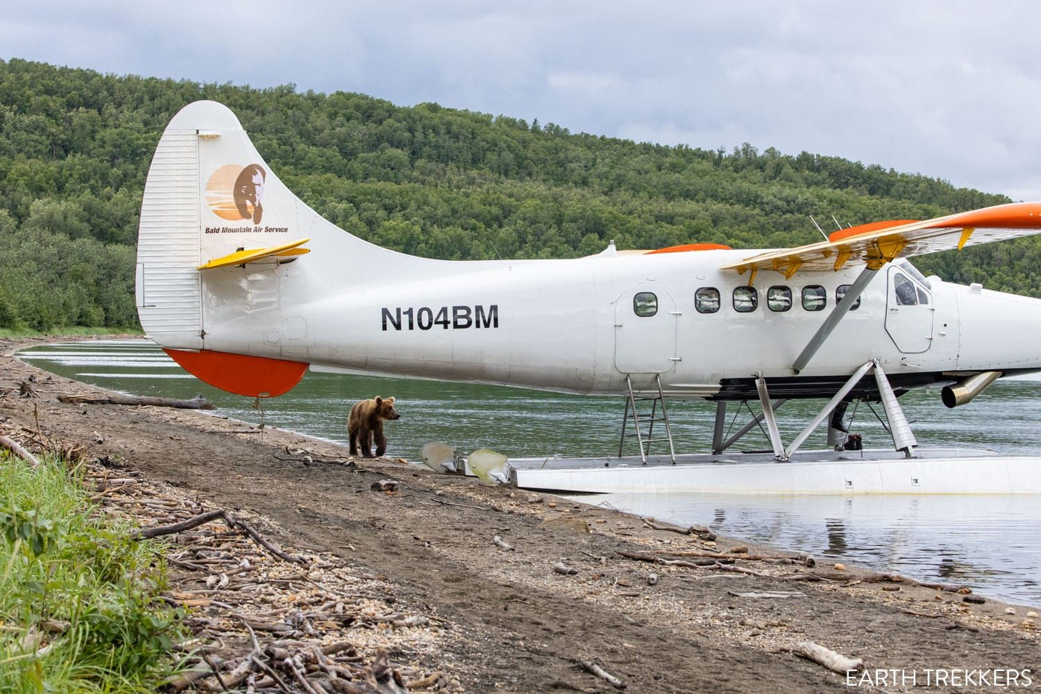 Brooks Camp Float Plane and Bear