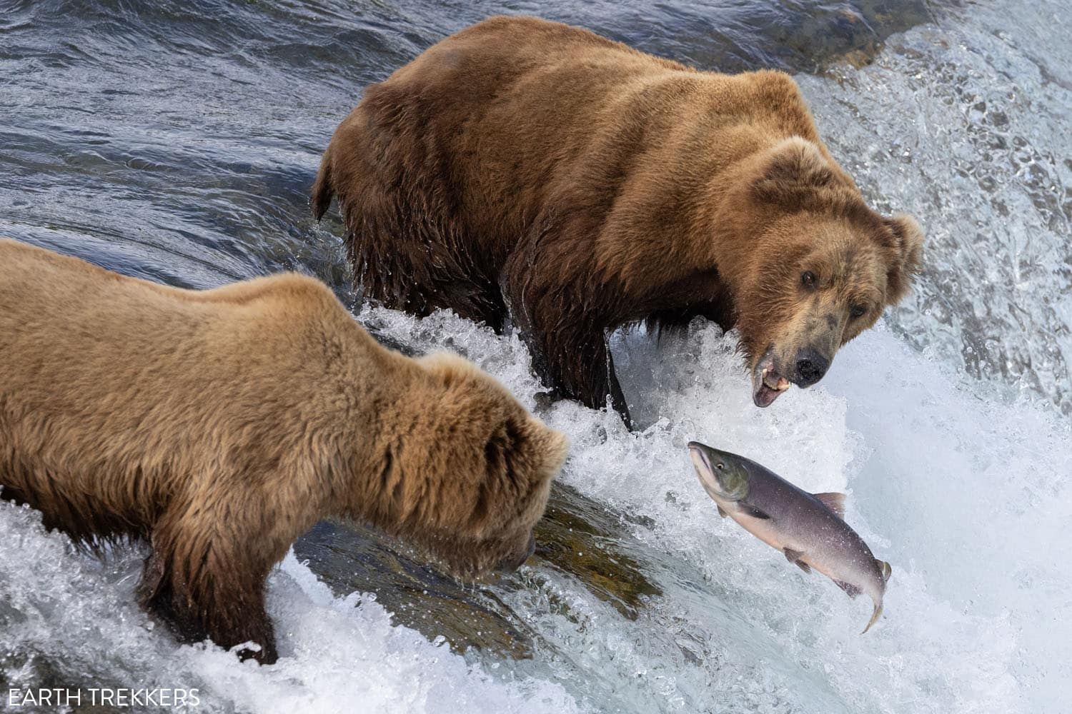 Katmai National Park